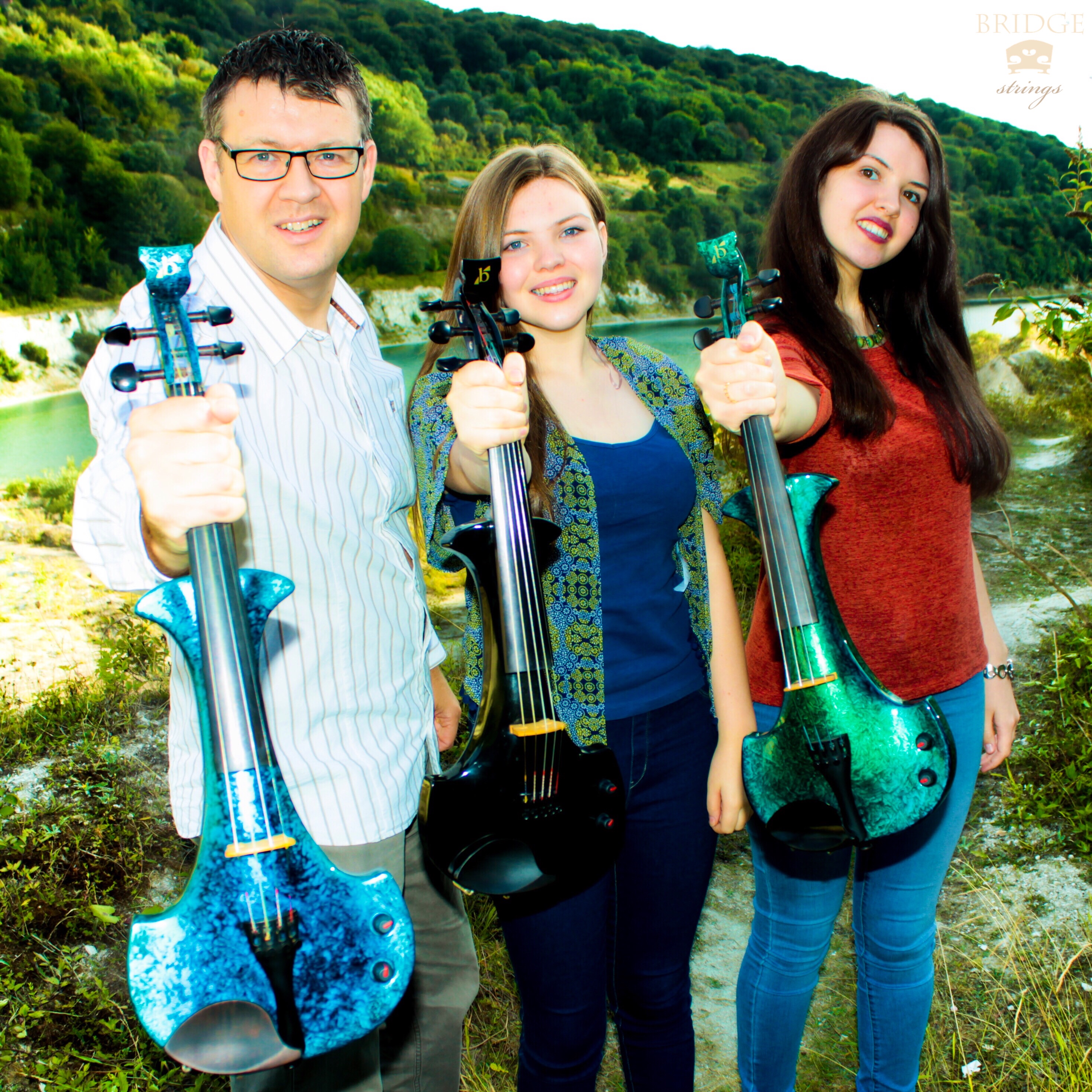 Electric Violins • Bridge Strings