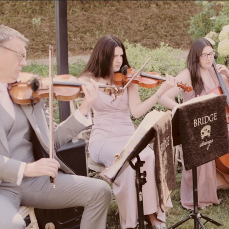 Ratatouille Main Theme - String Quartet